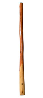 Tristan O'Meara Didgeridoo (TM389)